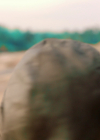 VampireDiariesWorld-dot-nl_Legacies3x15ANewHope0099.jpg
