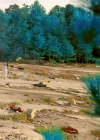 VampireDiariesWorld-dot-nl_Legacies3x15ANewHope0104.jpg