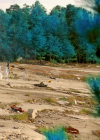 VampireDiariesWorld-dot-nl_Legacies3x15ANewHope0105.jpg