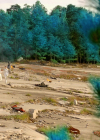 VampireDiariesWorld-dot-nl_Legacies3x15ANewHope0106.jpg