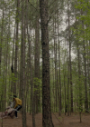 VampireDiariesWorld-dot-nl_Legacies3x15ANewHope0614.jpg