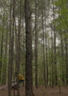 VampireDiariesWorld-dot-nl_Legacies3x15ANewHope0615.jpg