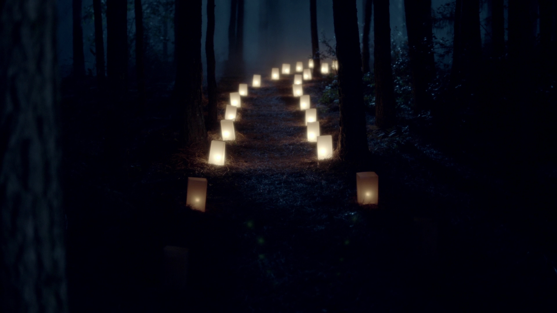 VampireDiariesWorld-dot-nl_Legacies4x01YouHaveToPickOneThisTime4087.jpg VampireDiariesWorld-dot-nl_Legacies4x01YouHaveToPickOneThisTime4087.jpg