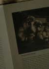 VampireDiariesWorld-dot-nl_Legacies4x02TheresNoIInTeamOrWhatever0286.jpg