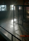 VampireDiariesWorld-dot-nl_Legacies4x02TheresNoIInTeamOrWhatever0772.jpg