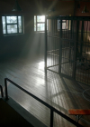 VampireDiariesWorld-dot-nl_Legacies4x02TheresNoIInTeamOrWhatever0786.jpg