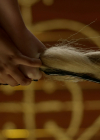 VampireDiariesWorld-dot-nl_Legacies4x02TheresNoIInTeamOrWhatever1425.jpg