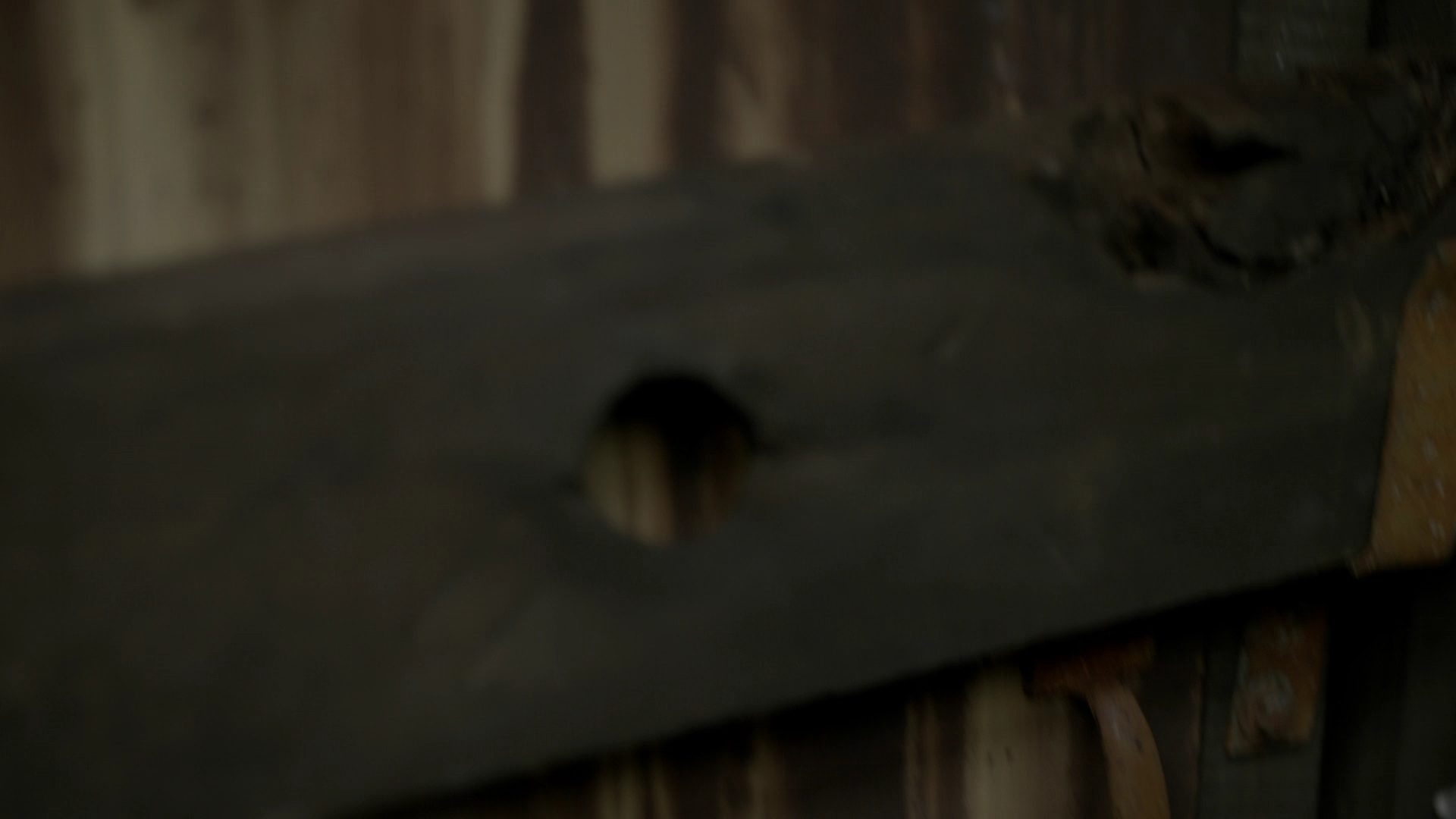 VampireDiariesWorld-dot-nl_Legacies4x04SeeYouOnTheOtherSide0744.jpg