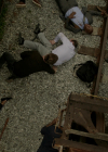VampireDiariesWorld-dot-nl_Legacies4x04SeeYouOnTheOtherSide0768.jpg