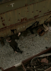 VampireDiariesWorld-dot-nl_Legacies4x04SeeYouOnTheOtherSide0776.jpg