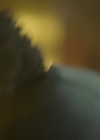 VampireDiariesWorld-dot-nl_Legacies4x04SeeYouOnTheOtherSide0830.jpg