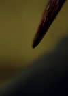 VampireDiariesWorld-dot-nl_Legacies4x04SeeYouOnTheOtherSide0867.jpg