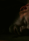 VampireDiariesWorld-dot-nl_Legacies4x05IThoughtYoudBeHappierToSeeMe0860.jpg