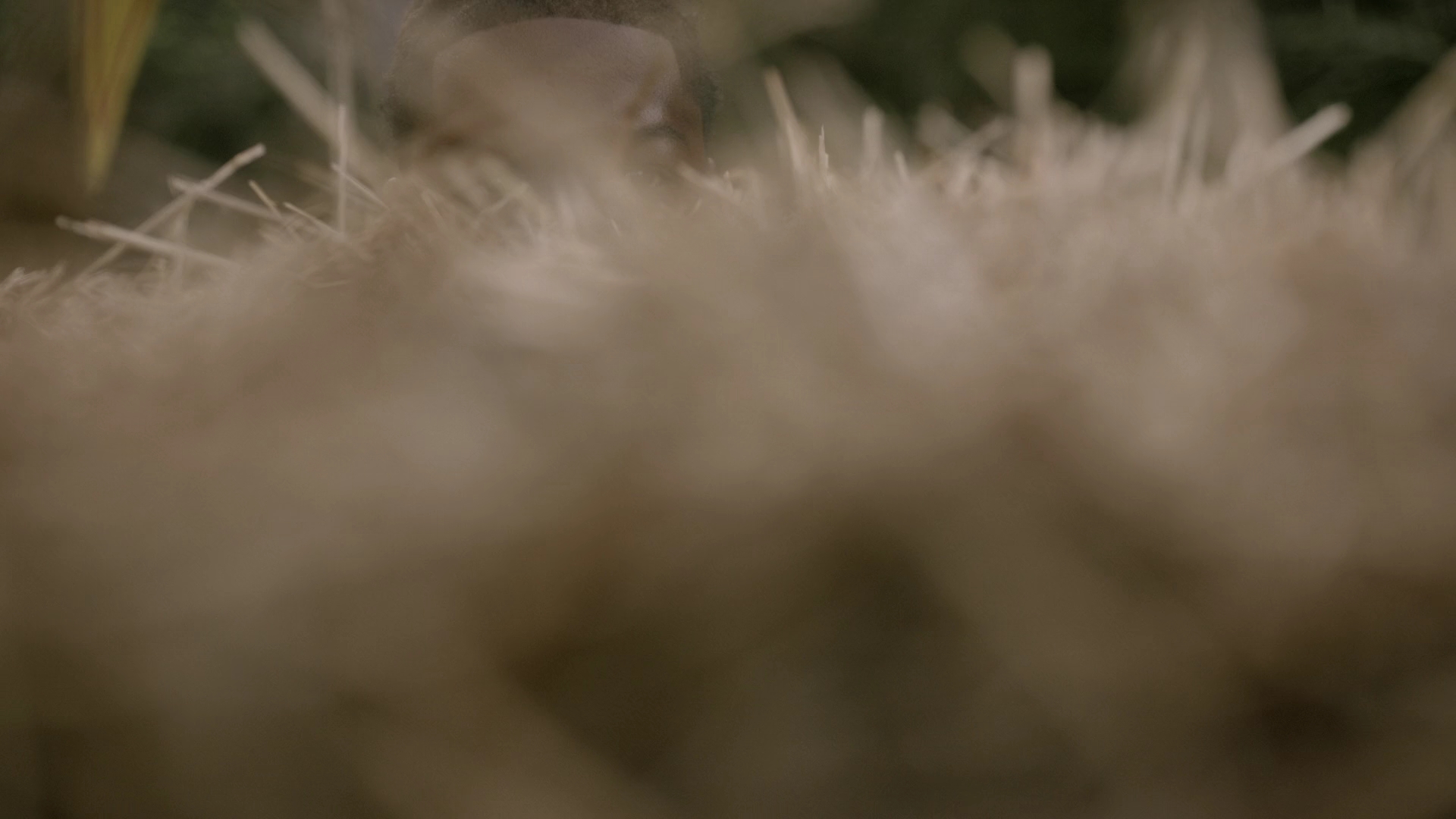 VampireDiariesWorld-dot-nl_Legacies4x06YoureALongWayFromHome1044.jpg