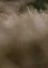VampireDiariesWorld-dot-nl_Legacies4x06YoureALongWayFromHome1044.jpg