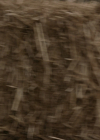 VampireDiariesWorld-dot-nl_Legacies4x06YoureALongWayFromHome1099.jpg