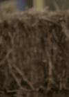 VampireDiariesWorld-dot-nl_Legacies4x06YoureALongWayFromHome1101.jpg