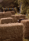 VampireDiariesWorld-dot-nl_Legacies4x06YoureALongWayFromHome1111.jpg