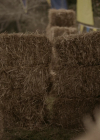 VampireDiariesWorld-dot-nl_Legacies4x06YoureALongWayFromHome1143.jpg