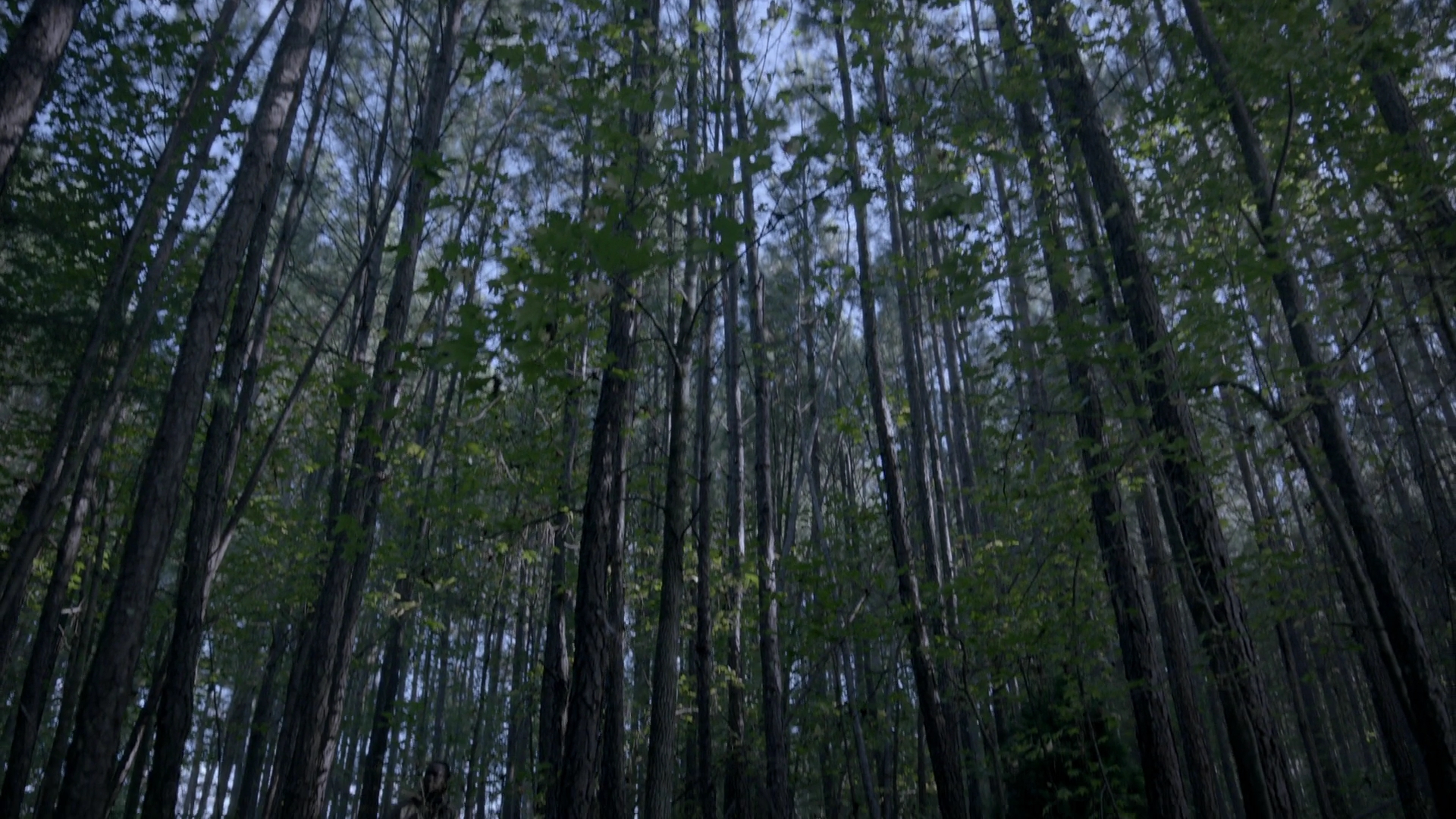 VampireDiariesWorld-dot-nl_Legacies4x07SomeplaceFarAwayfromAllThisViolence0216.jpg