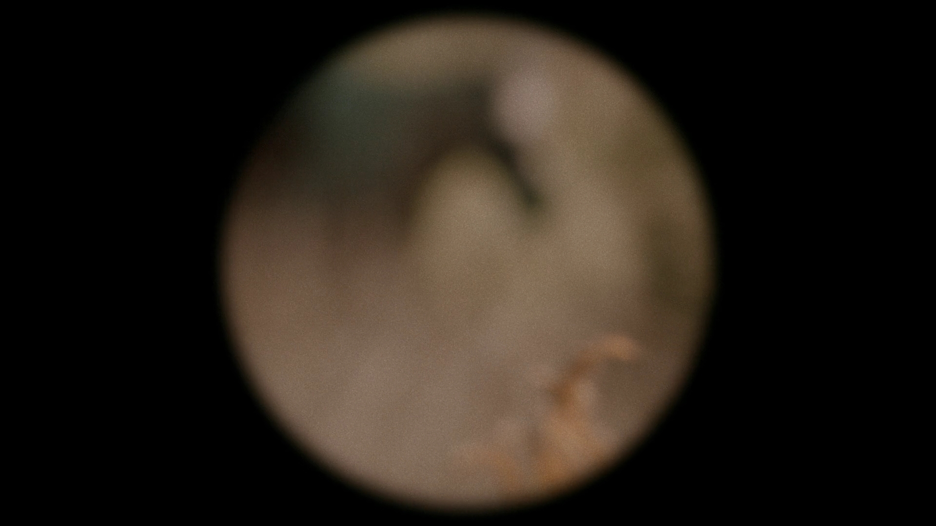 VampireDiariesWorld-dot-nl_Legacies4x07SomeplaceFarAwayfromAllThisViolence1360.jpg VampireDiariesWorld-dot-nl_Legacies4x07SomeplaceFarAwayfromAllThisViolence1360.jpg