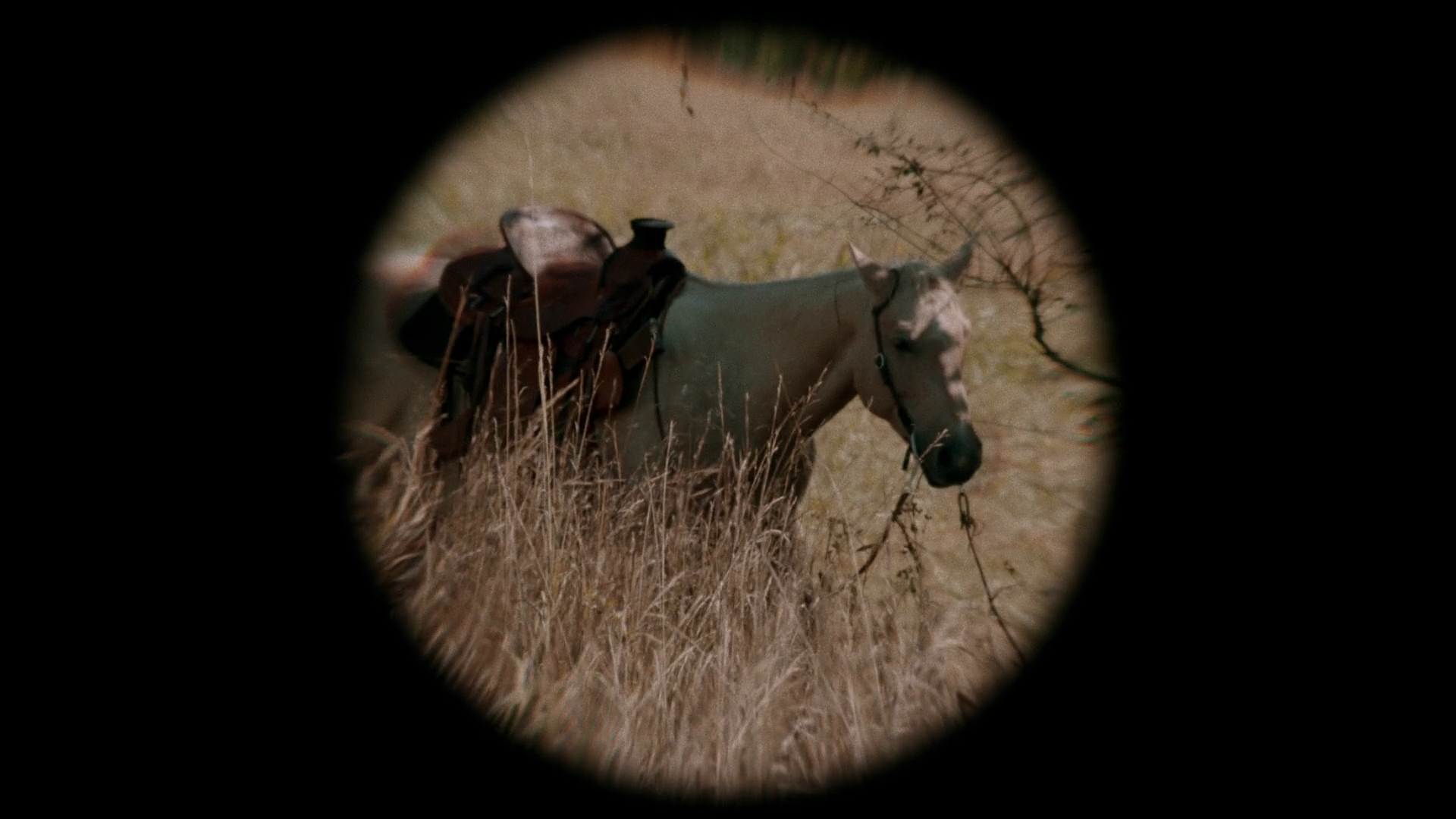 VampireDiariesWorld-dot-nl_Legacies4x07SomeplaceFarAwayfromAllThisViolence1361.jpg VampireDiariesWorld-dot-nl_Legacies4x07SomeplaceFarAwayfromAllThisViolence1361.jpg