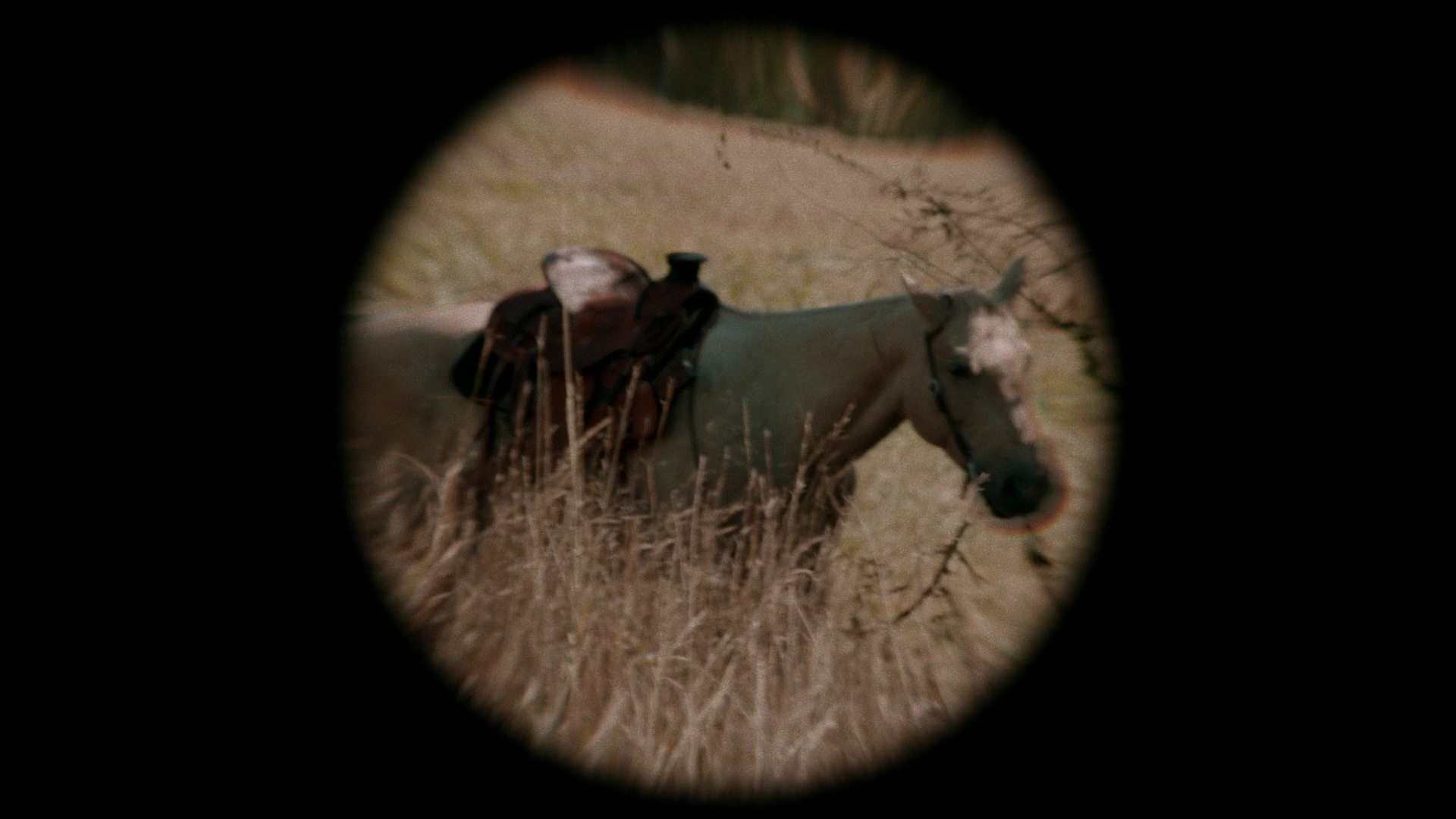 VampireDiariesWorld-dot-nl_Legacies4x07SomeplaceFarAwayfromAllThisViolence1362.jpg VampireDiariesWorld-dot-nl_Legacies4x07SomeplaceFarAwayfromAllThisViolence1362.jpg