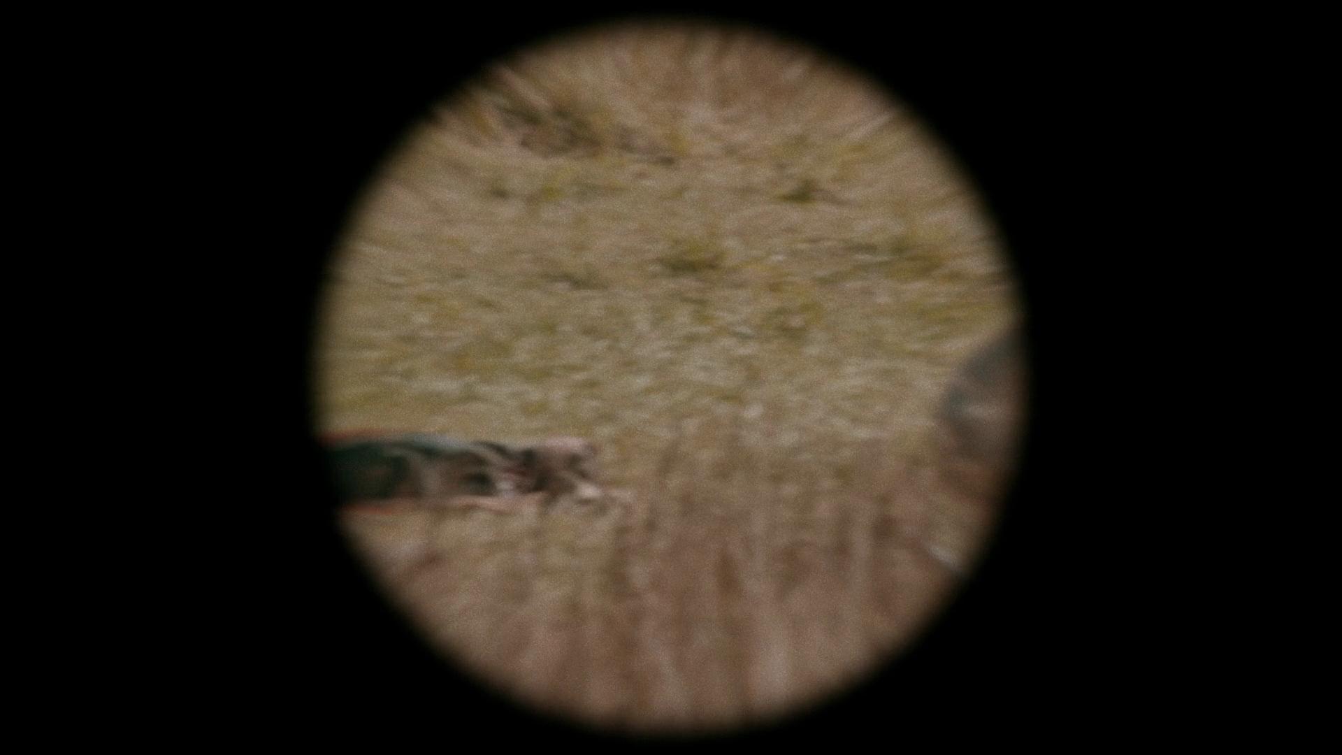 VampireDiariesWorld-dot-nl_Legacies4x07SomeplaceFarAwayfromAllThisViolence1363.jpg VampireDiariesWorld-dot-nl_Legacies4x07SomeplaceFarAwayfromAllThisViolence1363.jpg