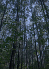 VampireDiariesWorld-dot-nl_Legacies4x07SomeplaceFarAwayfromAllThisViolence0215.jpg