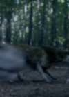 VampireDiariesWorld-dot-nl_Legacies4x07SomeplaceFarAwayfromAllThisViolence1851.jpg