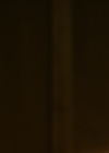 VampireDiariesWorld-dot-nl_Legacies4x07SomeplaceFarAwayfromAllThisViolence2162.jpg