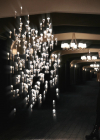 vampirediariesworld-dot-nl_Legacies4x10TheStoryOfMyLife0554.jpg