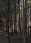 vampirediariesworld-dot-nl_Legacies4x10TheStoryOfMyLife1620.jpg