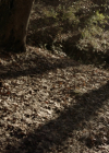 vampirediariesworld-dot-nl_Legacies4x10TheStoryOfMyLife1664.jpg