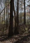 vampirediariesworld-dot-nl_Legacies4x10TheStoryOfMyLife1669.jpg