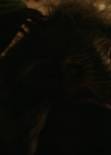 vampirediariesworld-dot-nl_Legacies4x10TheStoryOfMyLife2260.jpg