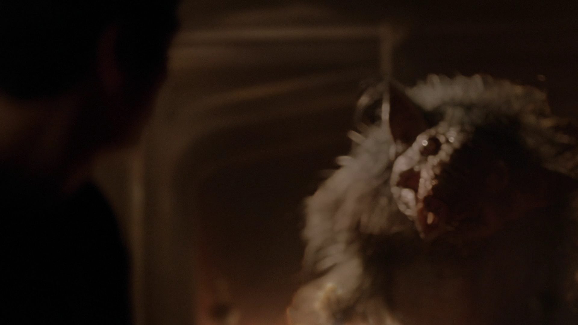 vampirediariesworld-dot-nl_Legacies4x10TheStoryOfMyLife0317.jpg vampirediariesworld-dot-nl_Legacies4x10TheStoryOfMyLife0317.jpg