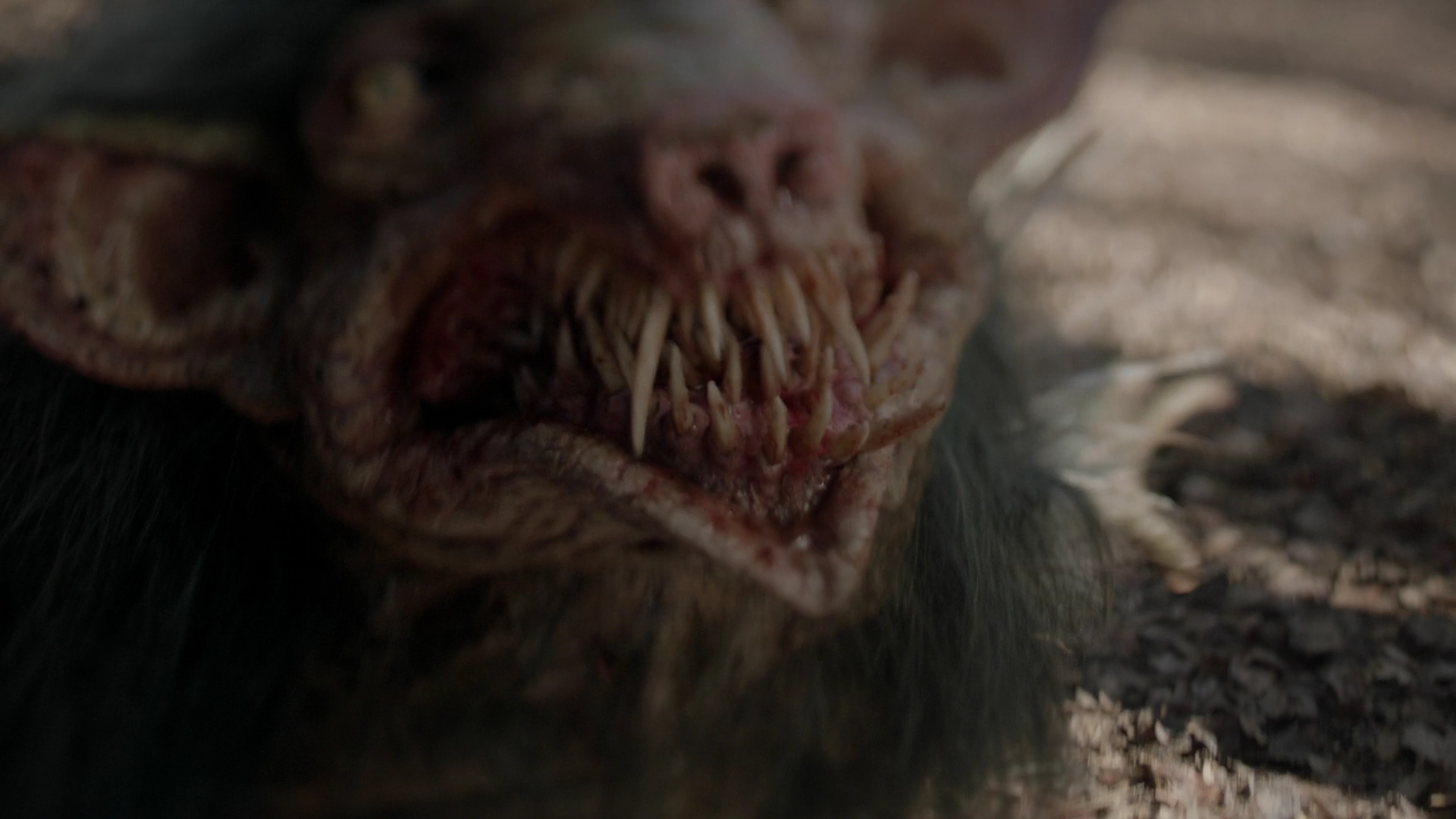 vampirediariesworld-dot-nl_Legacies4x10TheStoryOfMyLife1655.jpg vampirediariesworld-dot-nl_Legacies4x10TheStoryOfMyLife1655.jpg