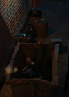 VampireDiariesWorld-dot-nl_Legacies4x11FollowTheSoundOfMyVoice1565.jpg