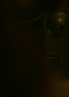 VampireDiariesWorld-dot-nl_Legacies4x13WasThisTheMonsterYouSaw0079.jpg