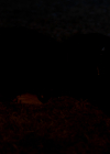 VampireDiariesWorld-dot-nl_Legacies4x13WasThisTheMonsterYouSaw1504.jpg