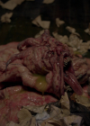 VampireDiariesWorld-dot-nl_Legacies4x13WasThisTheMonsterYouSaw1744.jpg