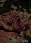 VampireDiariesWorld-dot-nl_Legacies4x13WasThisTheMonsterYouSaw1745.jpg