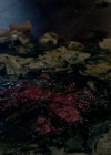 VampireDiariesWorld-dot-nl_Legacies4x13WasThisTheMonsterYouSaw1754.jpg