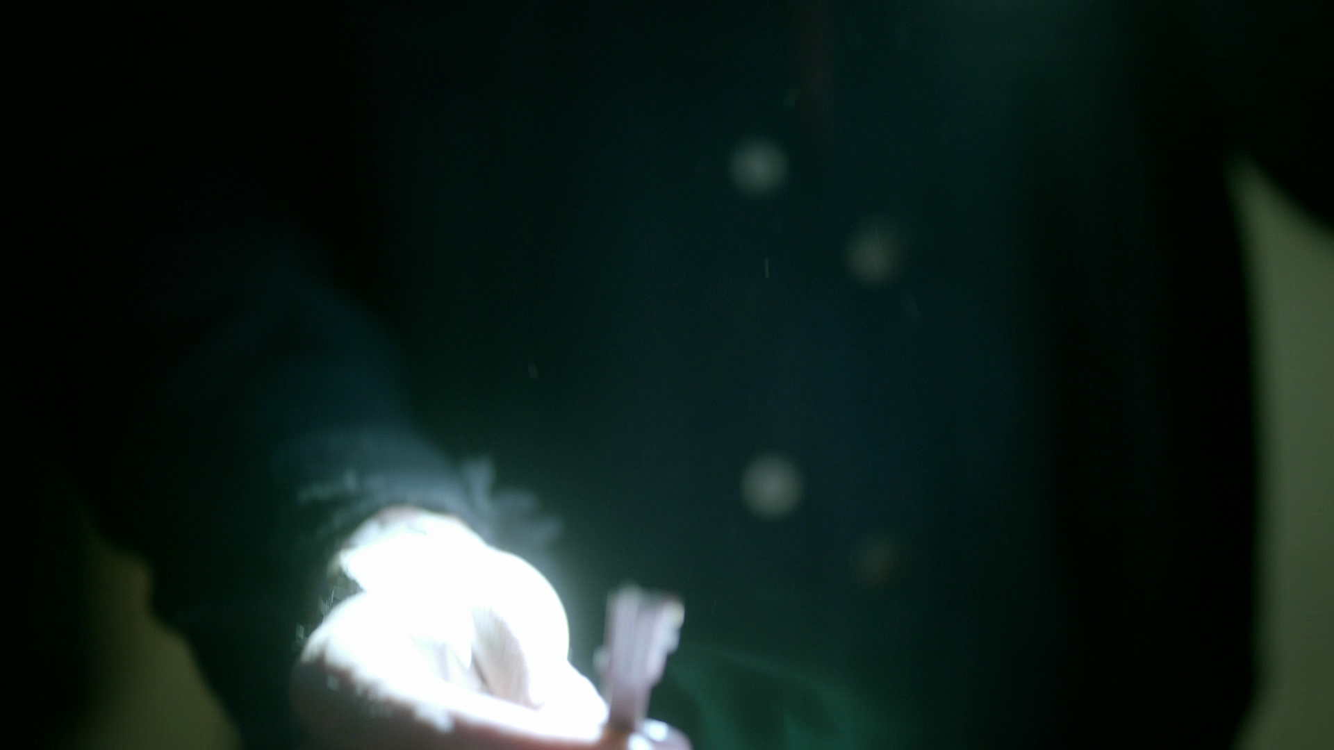 VampireDiariesWorld-dot-nl_Legacies4x15EverythingThatCanBeLostMayAlsoBeFound2416.jpg