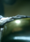 VampireDiariesWorld-dot-nl_Legacies4x15EverythingThatCanBeLostMayAlsoBeFound2404.jpg