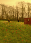 VampireDiariesWorld-dot-nl_Legacies4x17IntoTheWoods0644.jpg