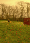 VampireDiariesWorld-dot-nl_Legacies4x17IntoTheWoods0645.jpg