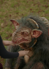 VampireDiariesWorld-dot-nl_Legacies4x17IntoTheWoods0784.jpg