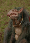 VampireDiariesWorld-dot-nl_Legacies4x17IntoTheWoods0785.jpg